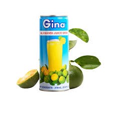 Gina Calamansi Juice 250ml