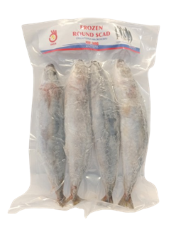 Frozen Okeh Roundscad 500g